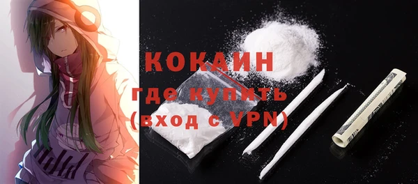 сатива Корсаков