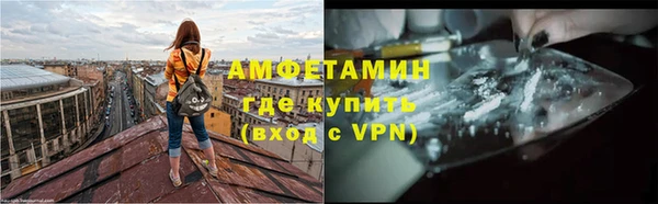 сатива Корсаков
