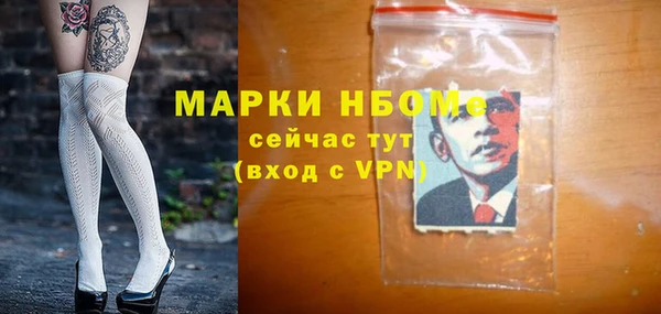 сатива Корсаков