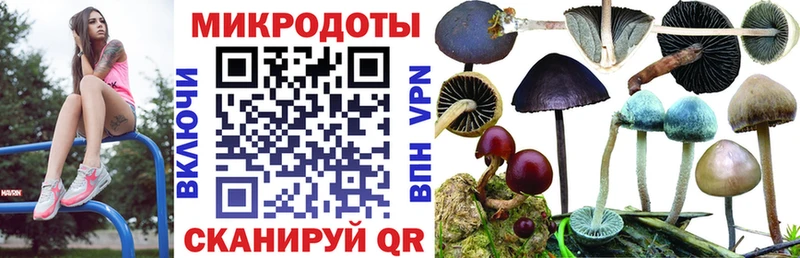 Галлюциногенные грибы GOLDEN TEACHER  Купить  Дно 